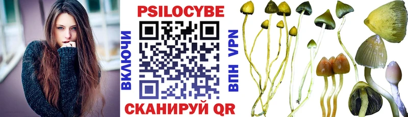 Псилоцибиновые грибы Cubensis  наркотики  Щёкино 